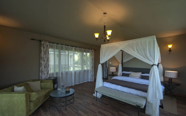 Ngorongoro Lions Paw