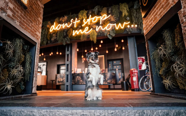 Me and All Hotel Hanover, by Hyatt