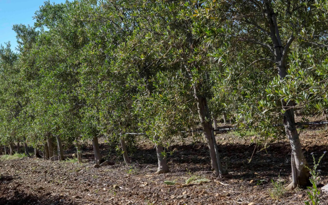 Novotel Perpignan Nord Rivesaltes