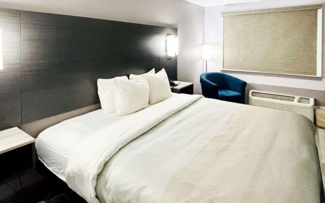 Quality Inn Raynham - Taunton