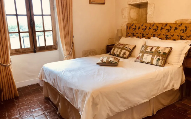 Chateau Celle Guenand