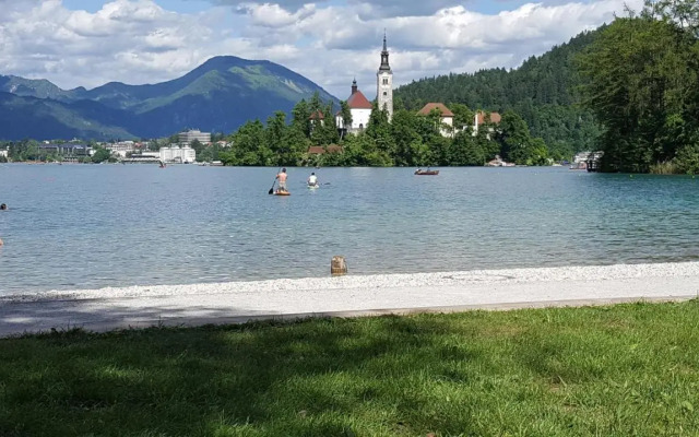 Sovica