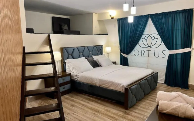 Ortus - Murree Hills