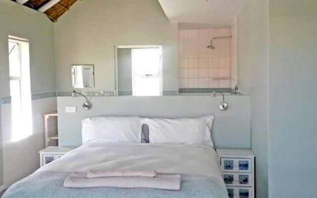 Cape St Francis Beachbreak - фото 4