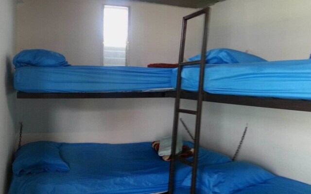 The Guaras Hostal - Hostel