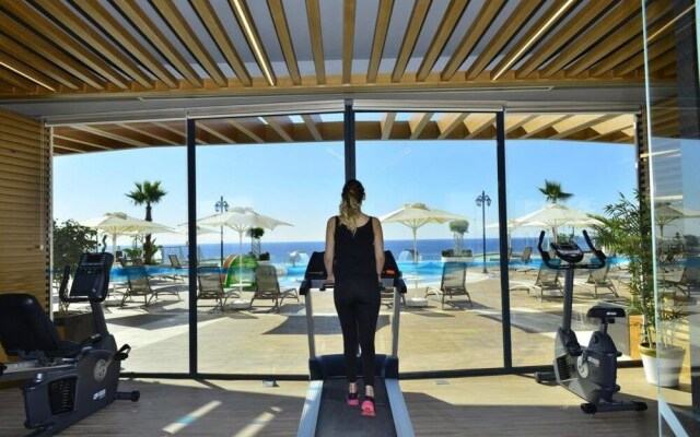 Elite Admiral Premium B85