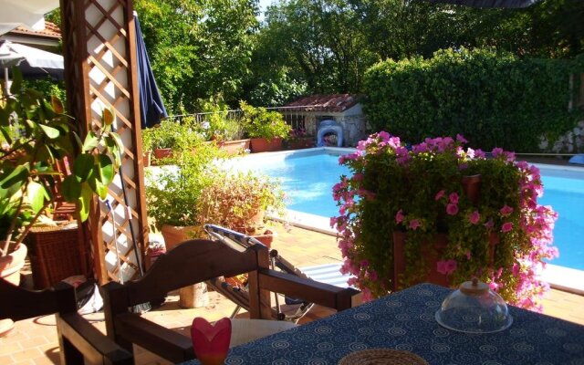 B&B Pane & Tulipani