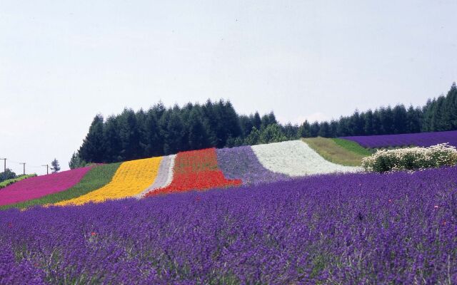 New Furano Hotel