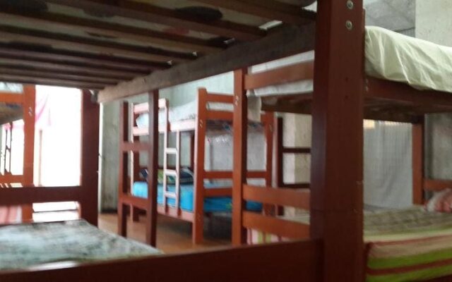Lion AQP hostel