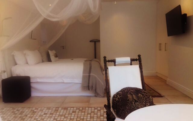Whale Coast Ocean Villa