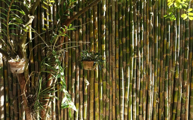 Som Khounmeung Guesthouse