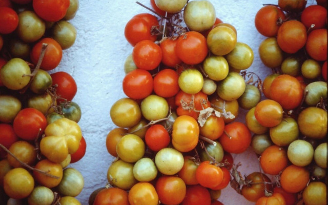 Borgo del Cardinale Country House