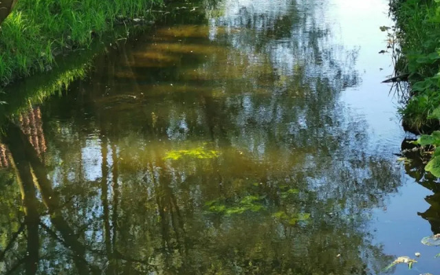 Ferienwohnung in der Ciderwirtschaft