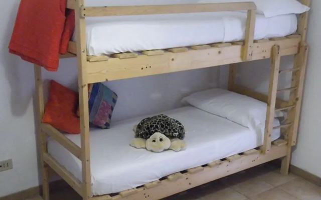 Camping Hippocampus