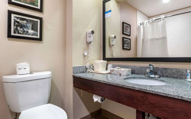 Comfort Inn Birmingham - Irondale