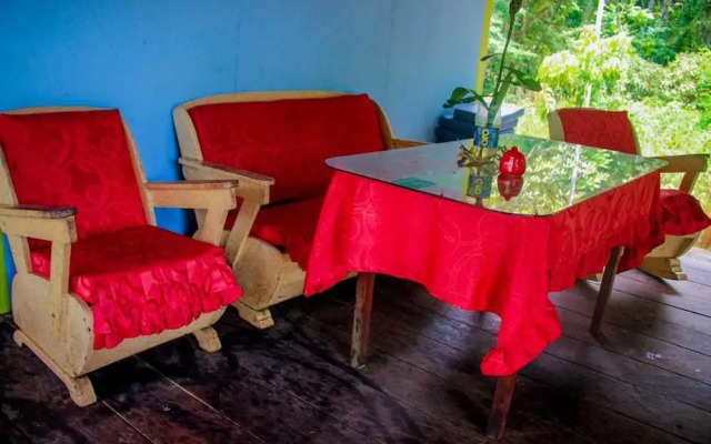 Ecological Jungle Trips & Amazon Lodge