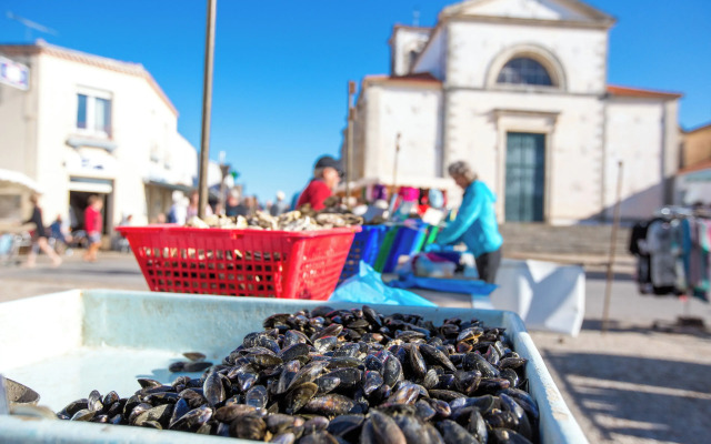 Les Voyageurs - Vaire