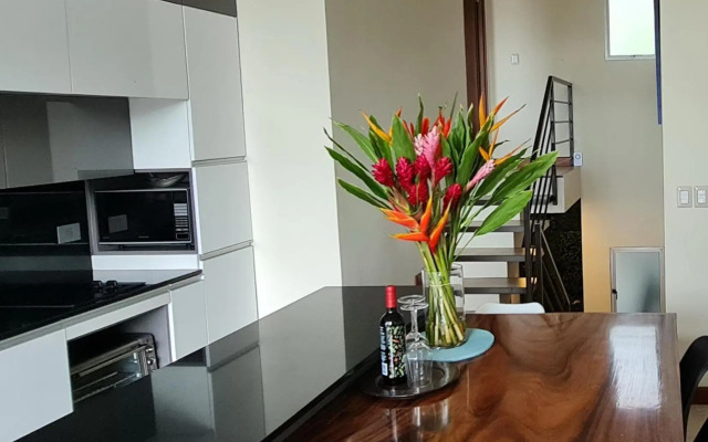 Cozy private Apartment, Mirador Escazú -Great view-