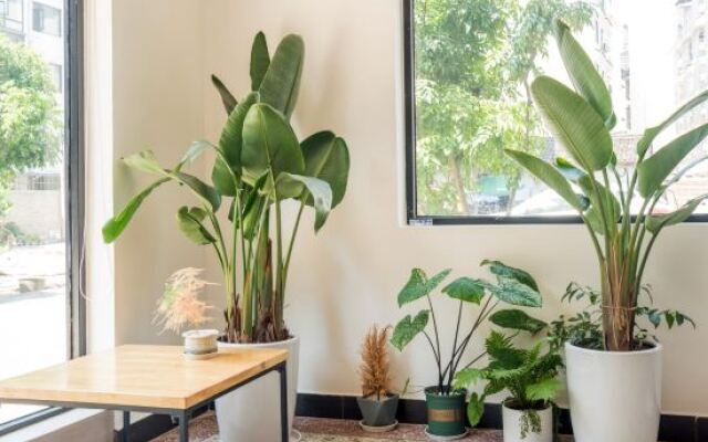 Yangshuo whitehill inn