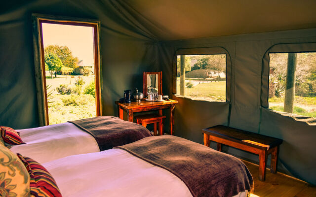 Buffelsdrift Game Lodge