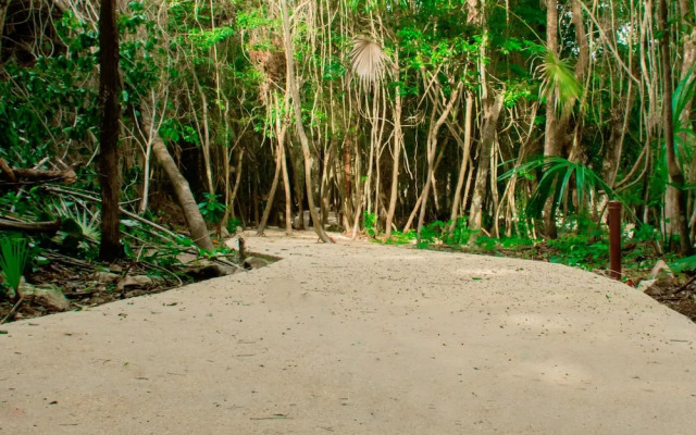Hotel Casa Tortuga Tulum Cenotes Park Inclusive
