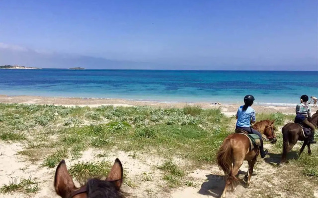 Comfortable Sardinian Villa With Pool