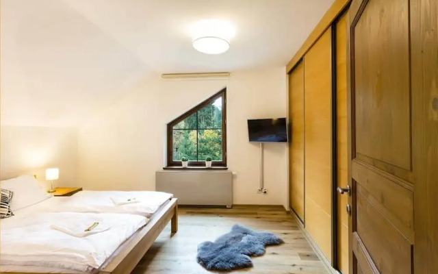 Pleasent Apartment in Harrachov
