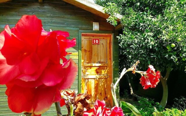 Olympos Tatilya Pansiyon