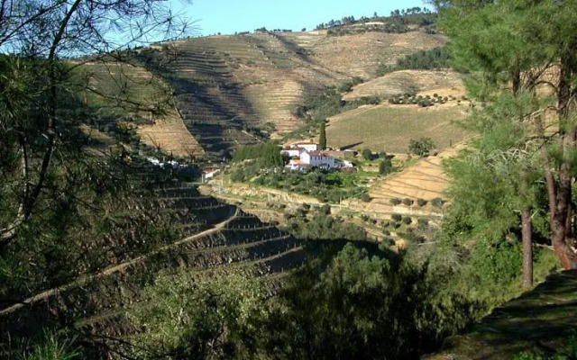 Quinta do Passadouro