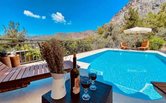 Amazing Villa w Private Pool BBQ in Gocek