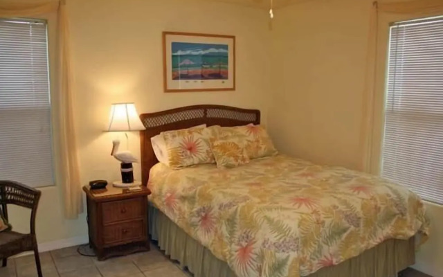 Blue Calypso ASL609