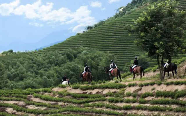 Mengye Moganshan Migong Garden Castle Homestay