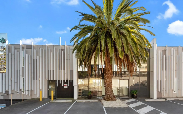 Areca Launceston 