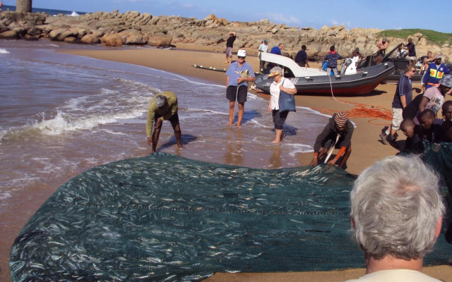 Albatros Guest House, Margate ,, SOUTH AFRICA , KZN NATAL