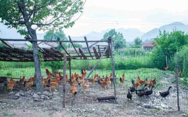 Xibaojia Boutique Guesthouse