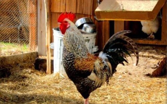 Teepee Meadows Guest Cottages