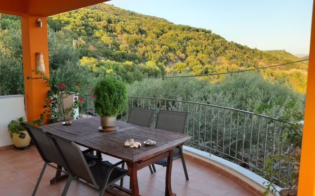 Olive Tree Apartment