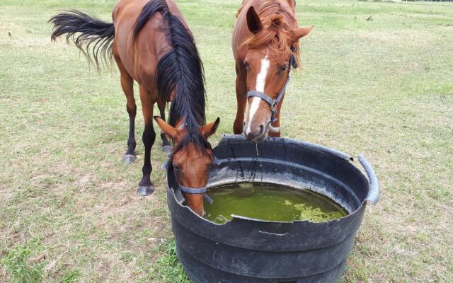 Villa du Cerf Thibault