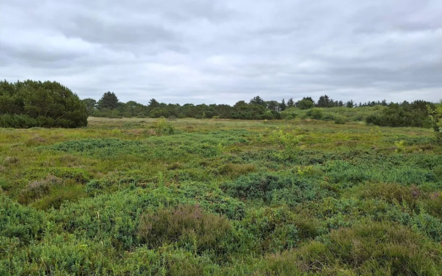 6 Person Holiday Home in Hemmet