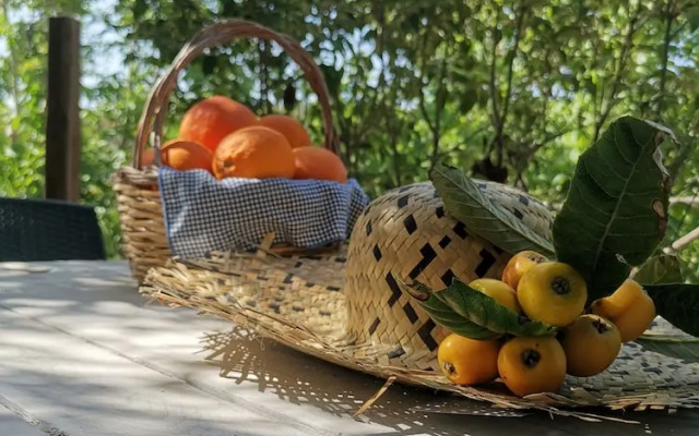 La Fattoria dei Nonni Resort dell'Etna