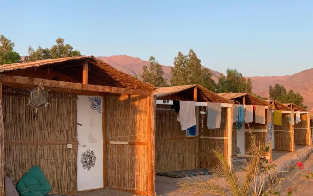 Buddha Camp