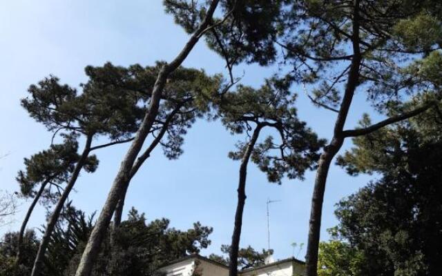 Agréable studio Ronce les bains