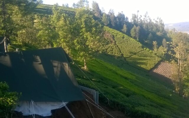 Janardan Tea Resort