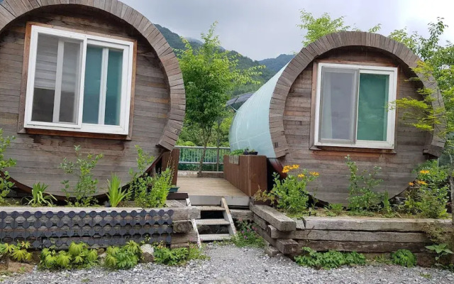 Treasure Island Pension