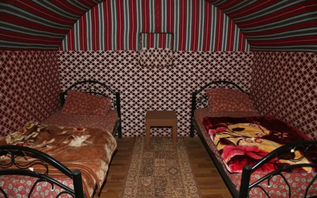 Bedouin habits tours camp