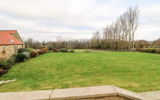 Town Farm, Darlington