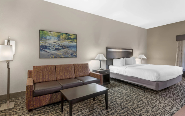Best Western Plus McDonough Inn & Suites