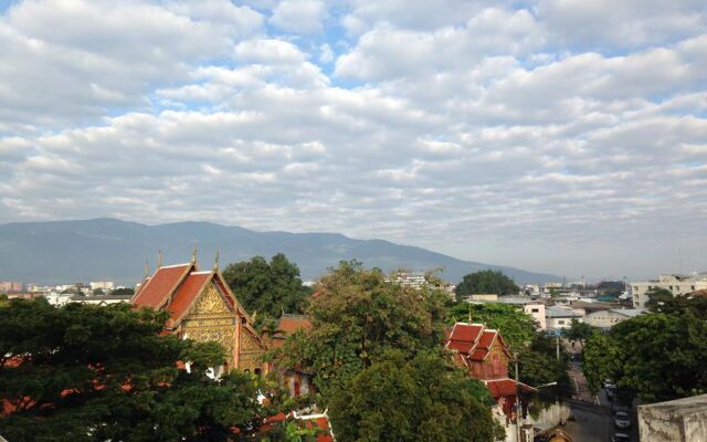 Panda House Chiang Mai