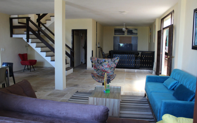 Longboard Paradise Suites