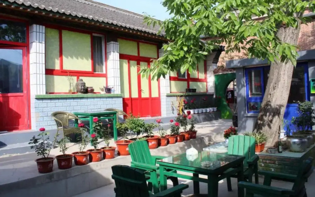 Flower Yard